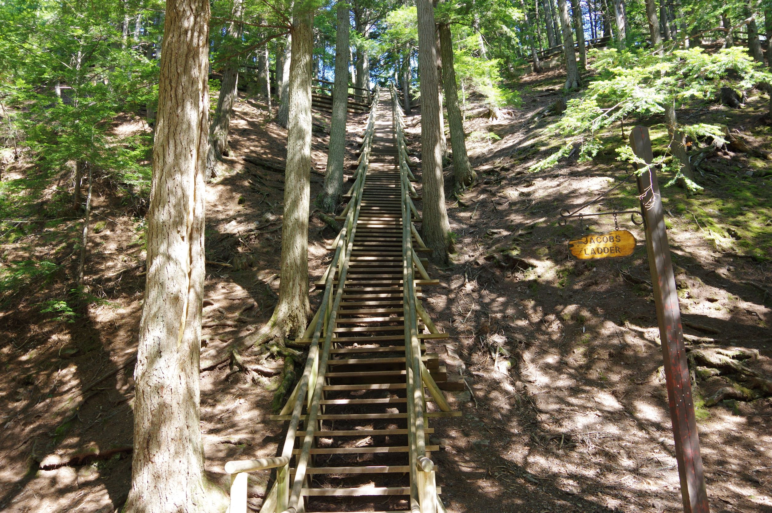 #0000212 Jacobs Ladder